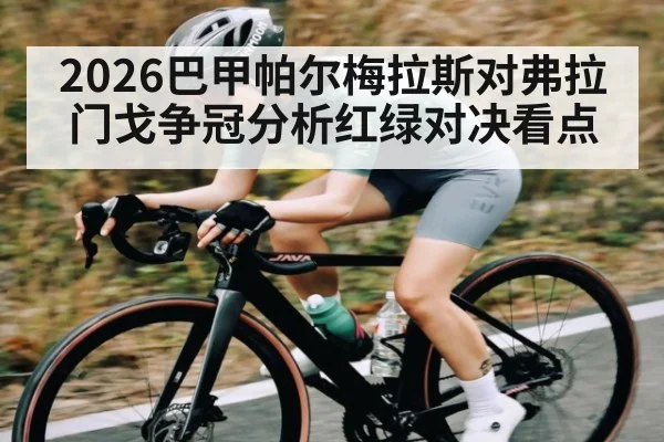 2026巴甲帕尔梅拉斯对弗拉门戈争冠分析红绿对决看点